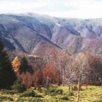 Pogled kam berkovskia balkan2